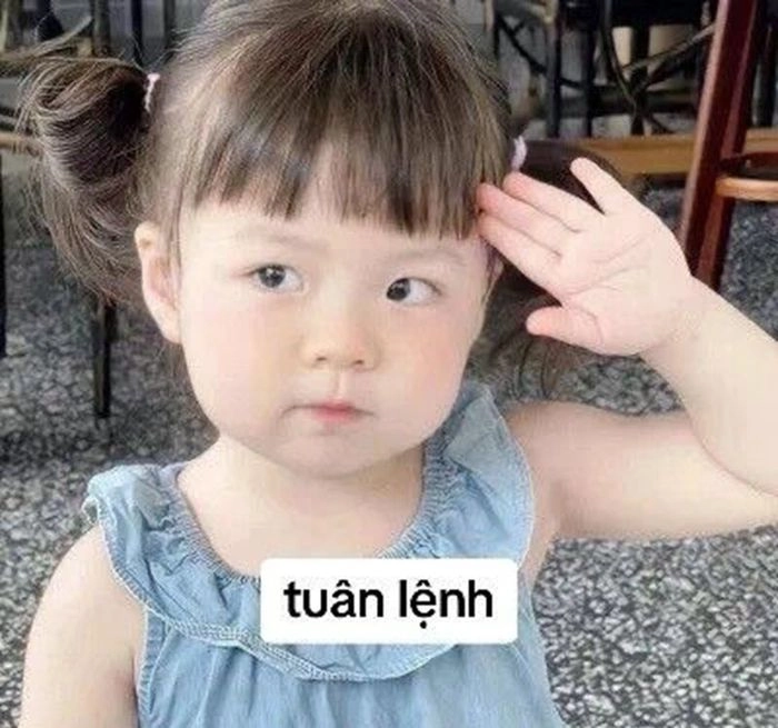 Những em bé dễ thương nhất thế giới chế meme