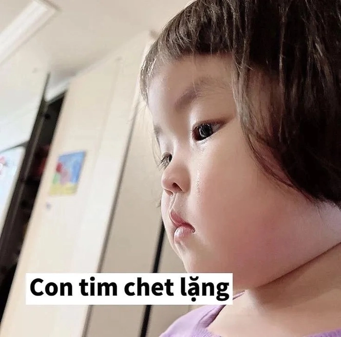Những em bé dễ thương nhất thế giới hài hước