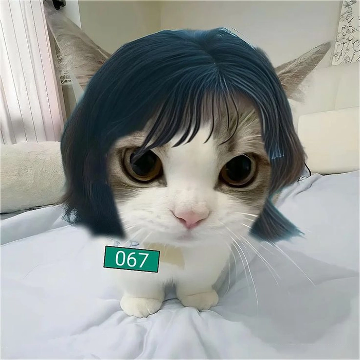 Squid Game meme ngộ nghĩnh