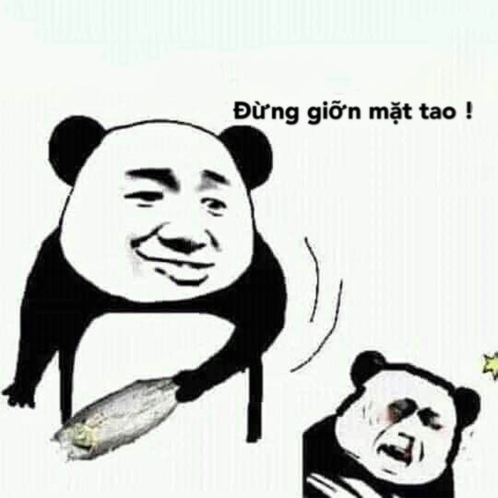 Tổng hợp meme chửi troll vui