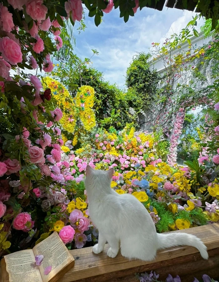 Ảnh chill chill siêu đáng yêu