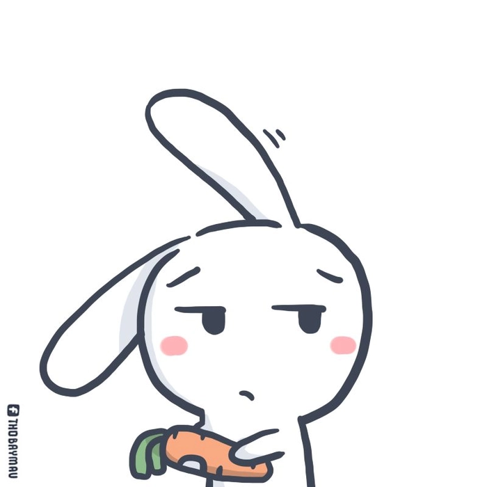 Avatar hình nền Thỏ Bảy Màu cute
