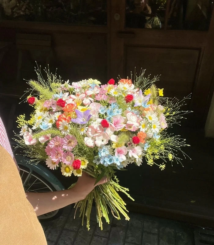 Hình ảnh bông hoa đẹp nhất tạo cảm hứng