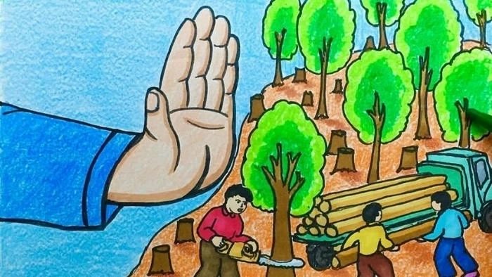 Hình ảnh về bảo vệ môi trường gần gũi thiên nhiên