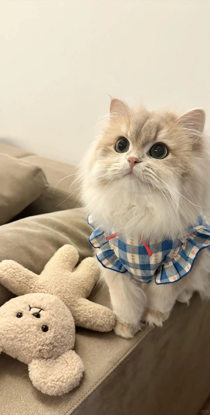 Hình nền màu be cute nhẹ nhàng cuốn hút