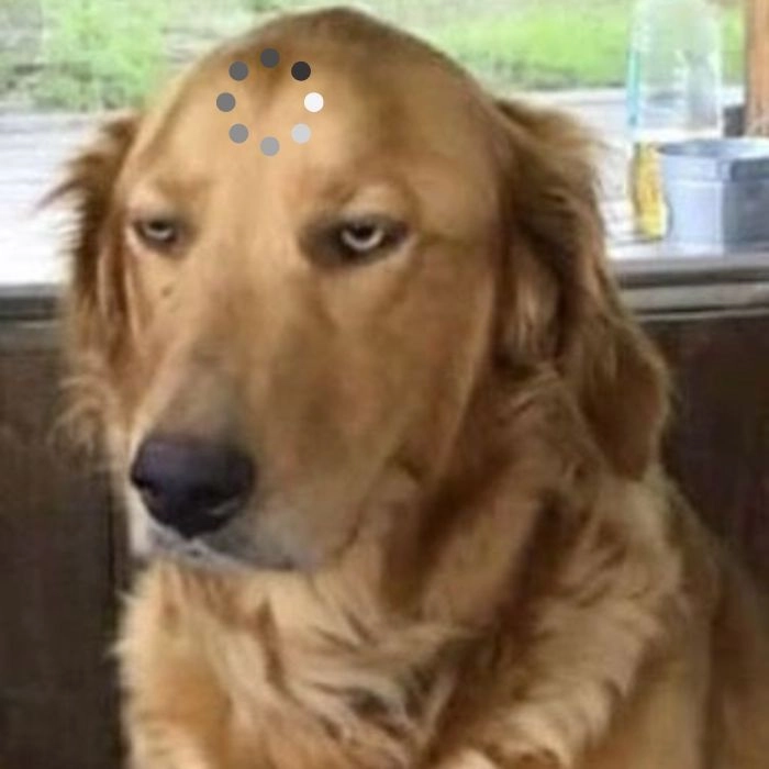 Ảnh chế chó loading tâm trạng