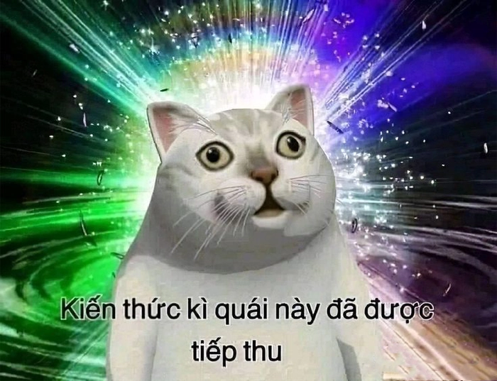 Ảnh chế meme hài bựa độc đáo