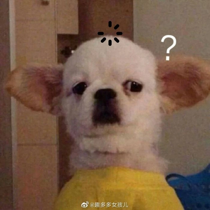 Ảnh chó loading chế hài