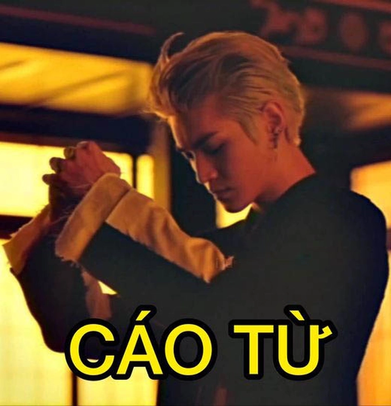 Ảnh meme cáo từ dùng nhanh
