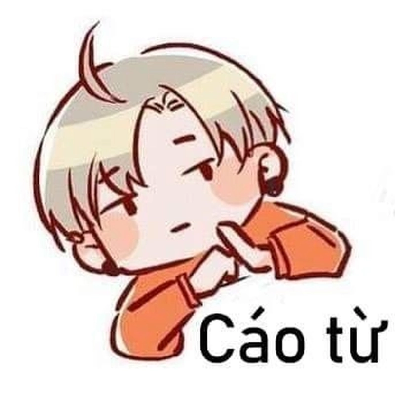 Ảnh meme cáo từ vui