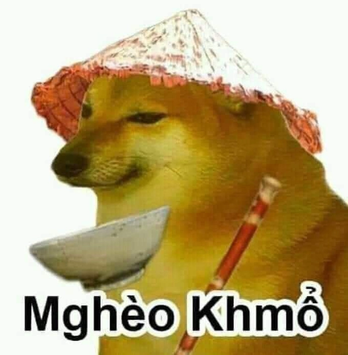 Ảnh meme chó Shiba hài hước