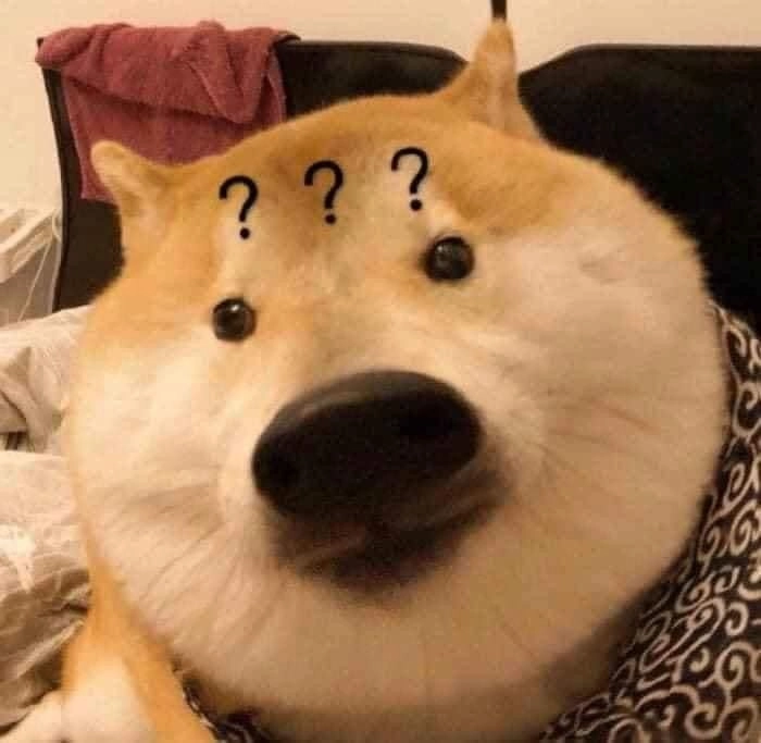 Ảnh meme chó Shiba siêu đáng yêu