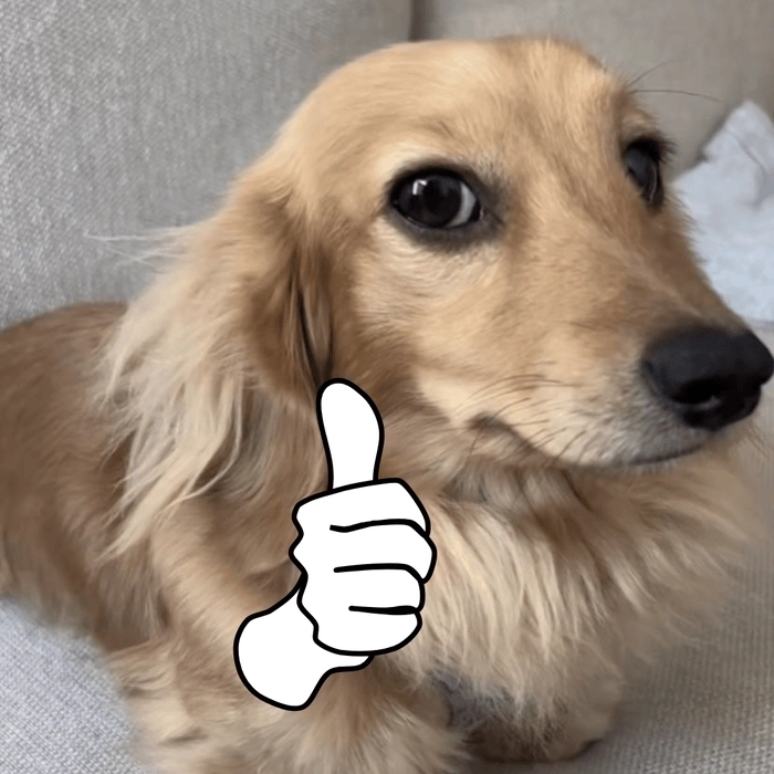 Ảnh meme chó like gây cười mạnh