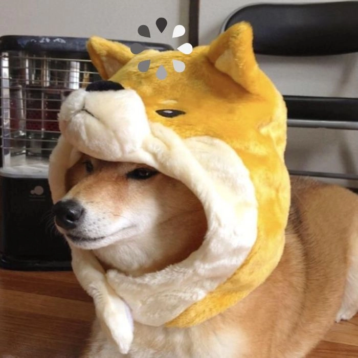 Ảnh meme chó loading vui nhộn