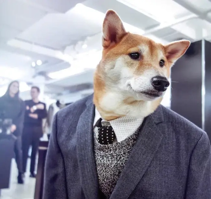 Ảnh meme chó mặc vest siêu lầy