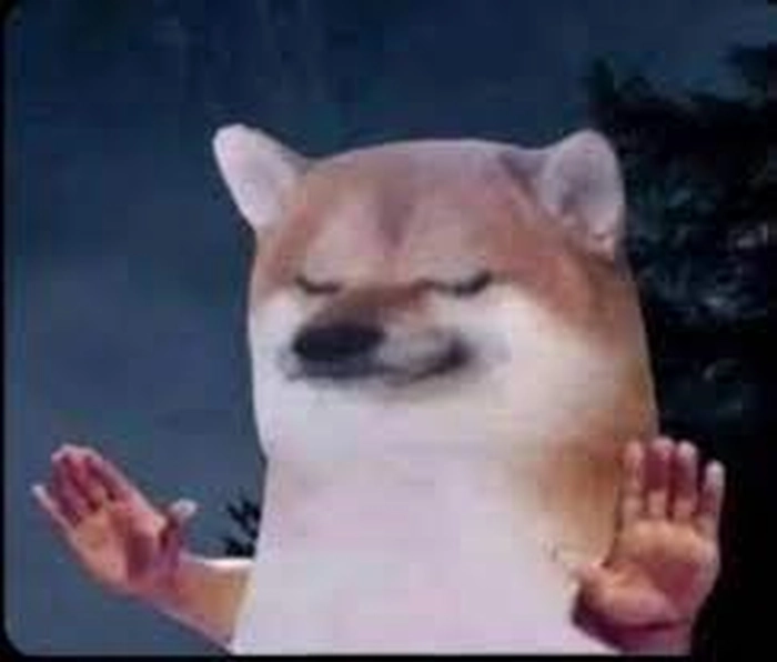 Ảnh meme chó nhắm mắt chất hài