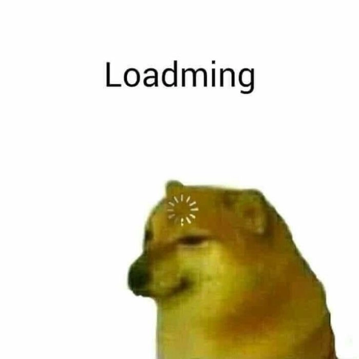 Ảnh meme con chó loading dí dỏm