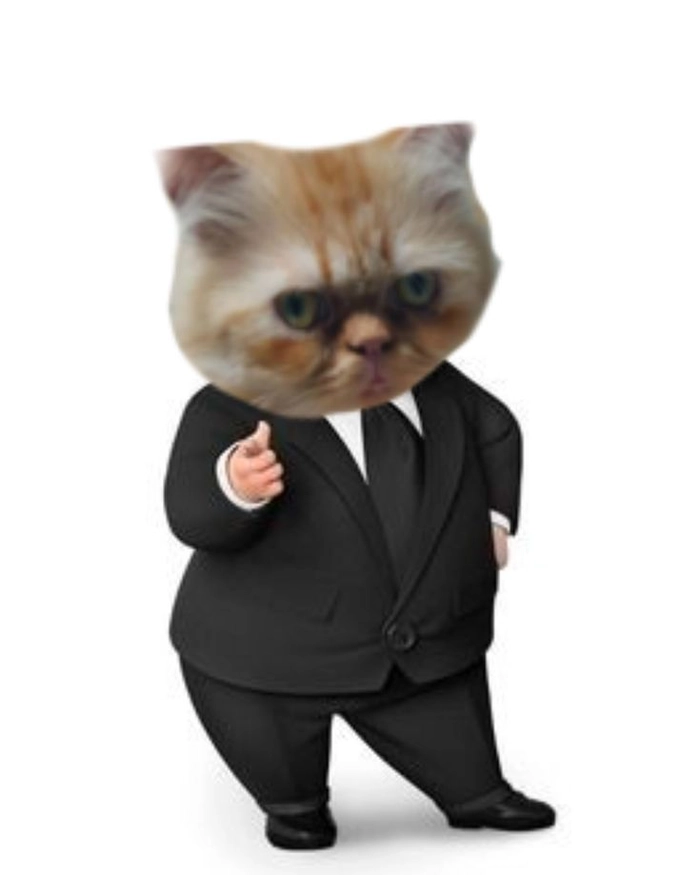 Ảnh mèo mặc vest meme vui nhộn