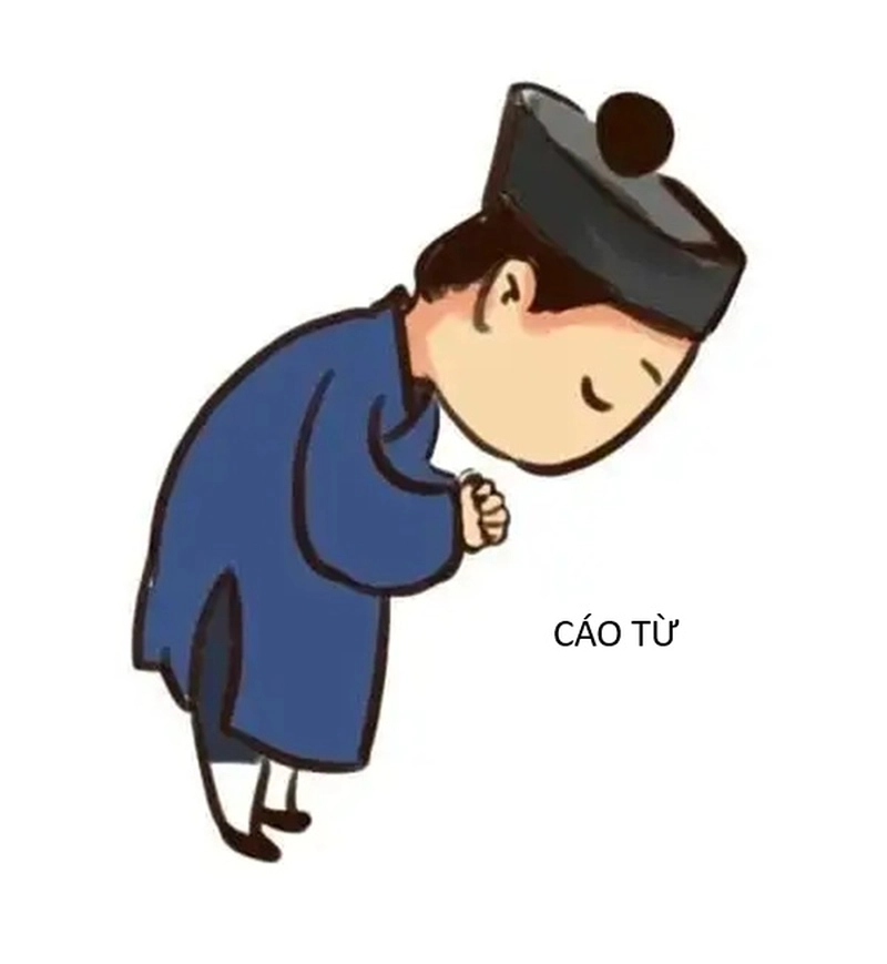 Bộ ảnh meme cáo từ