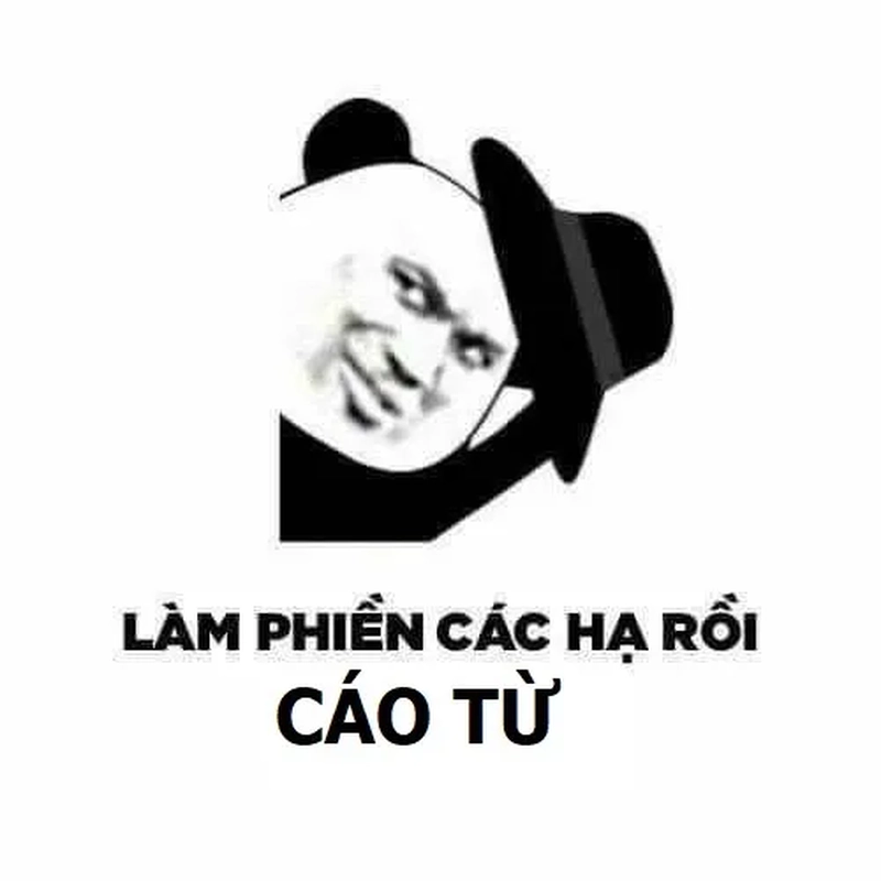 Bộ meme cáo từ vui nhộn