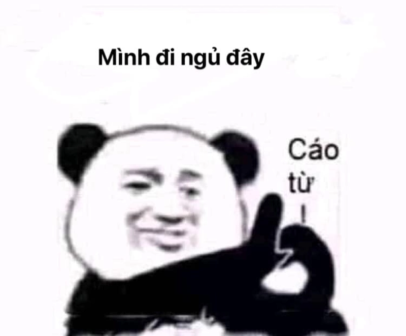 Cáo từ meme Trung Quốc hot