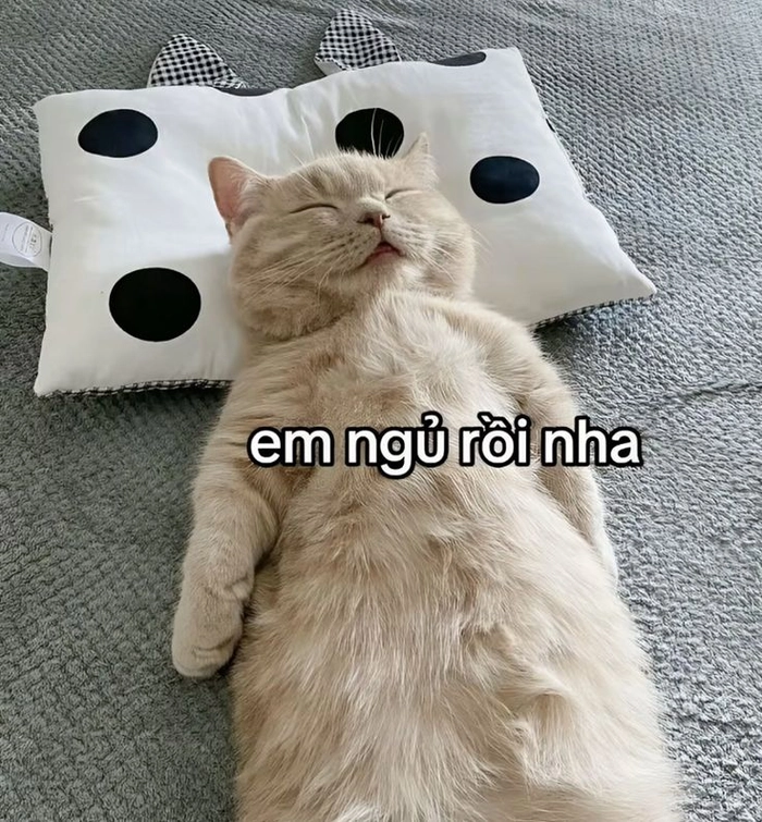 Chế ảnh meme hài đơn giản