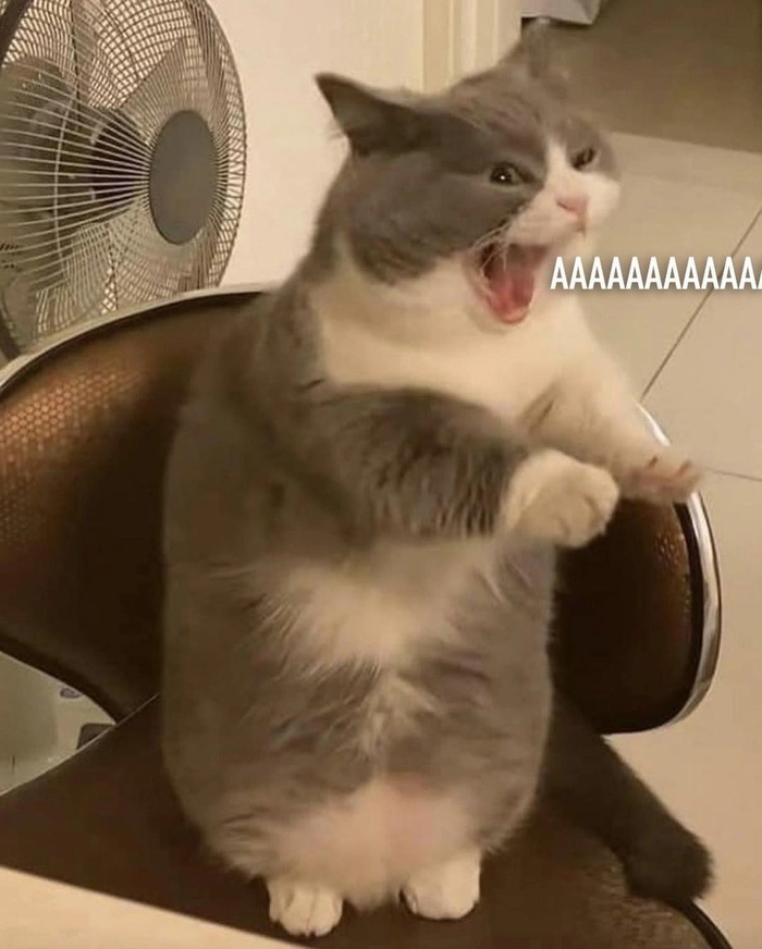 Chế meme cực vui cho comment