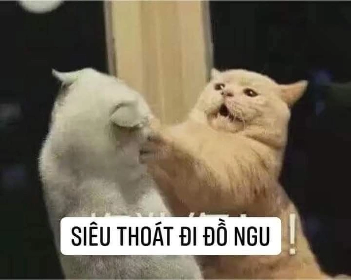Chế meme hài cho hội bạn thân