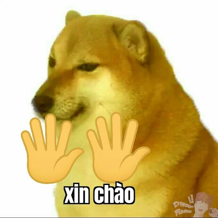 Chó Shiba meme đáng yêu hết nấc