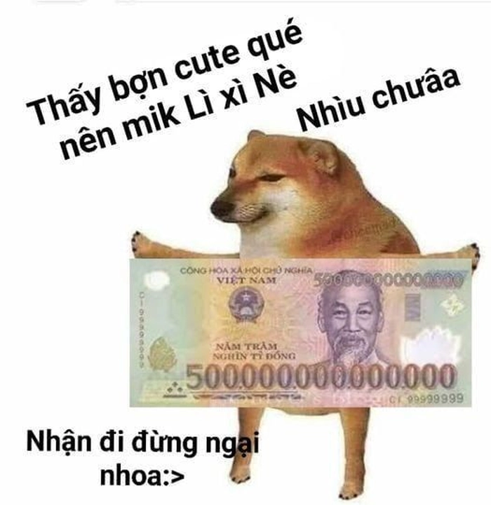 Chó Shiba meme vui nhộn