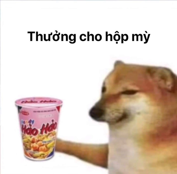 Con chó Shiba meme hài hước bá đạo