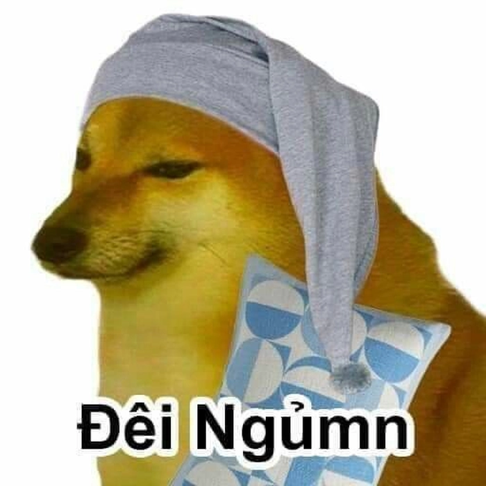 Con chó Shiba meme lầy lội