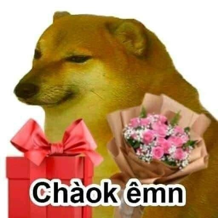 Con chó Shiba meme ngộ nghĩnh