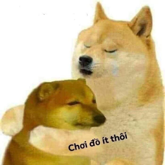 Con chó nhắm mắt meme cực hài