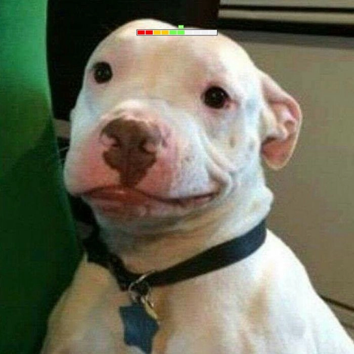 Hình chó loading cảm xúc vui