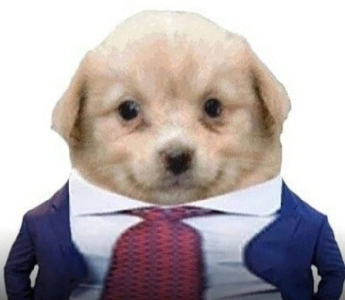 Hình chó mặc vest vui vẻ