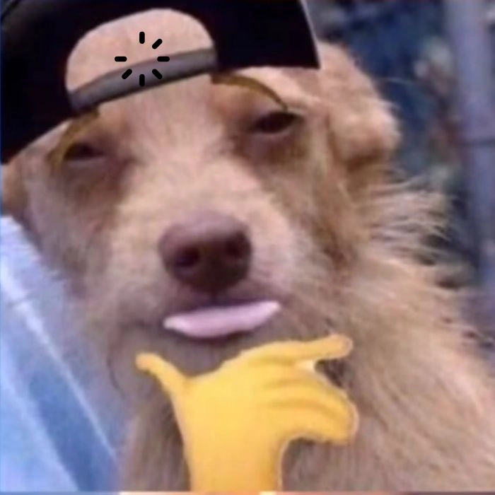 Hình con chó loading hài hước