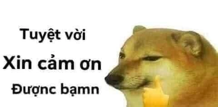 Hình meme chó like cực chất