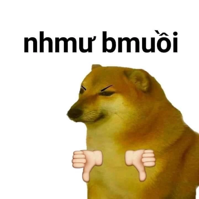 Hình meme chó like ngộ nghĩnh