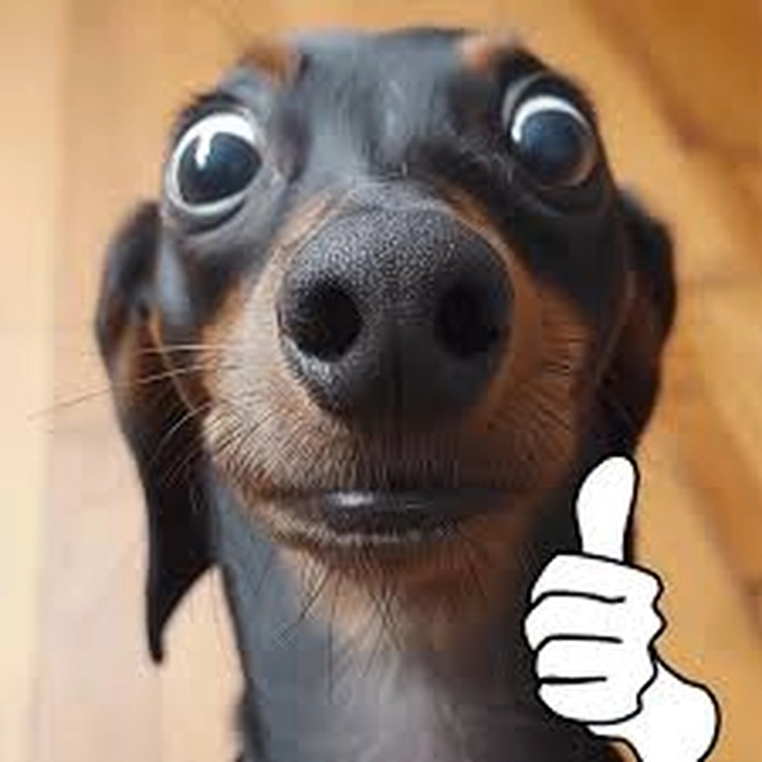 Hình meme con chó like đáng yêu