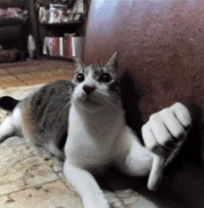 Hình meme mèo like siêu lầy