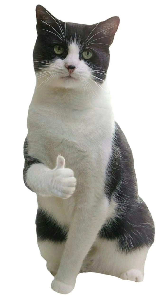 Hình meme mèo like vui nhộn