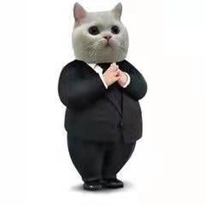 Hình meme mèo mặc vest bá đạo