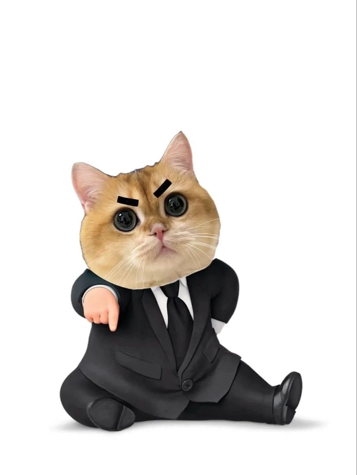 Hình meme mèo mặc vest ngầu cute