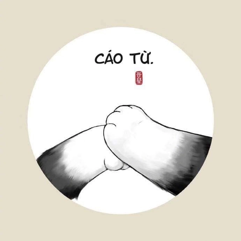 Meme cáo từ hài hước