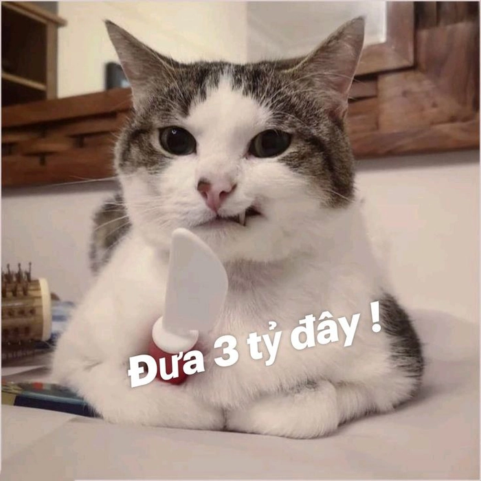 Meme chế hài bựa dễ dùng