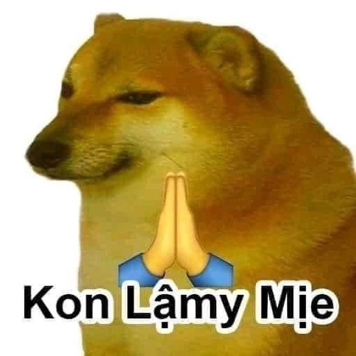 Meme chó Shiba cơ bắp cười ngáo
