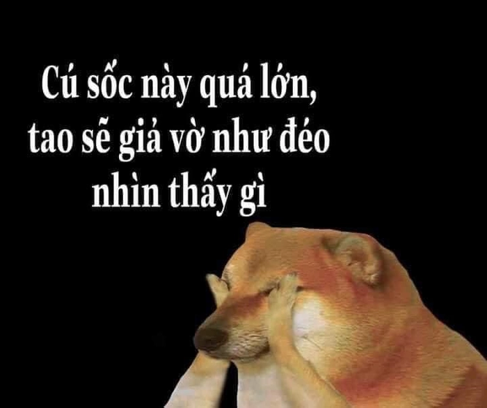 Meme chó Shiba cười tít mắt