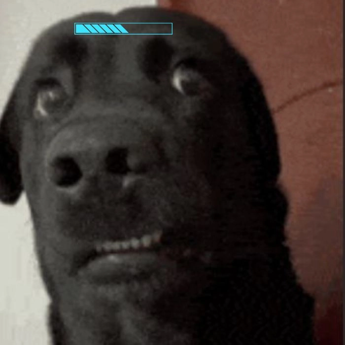 Meme chó loading cho comment