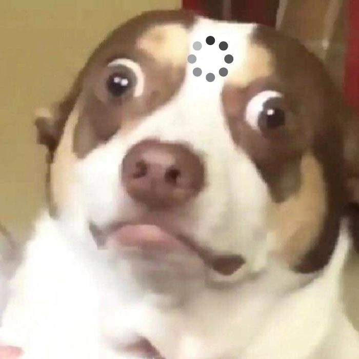 Meme chó loading cho dân mạng